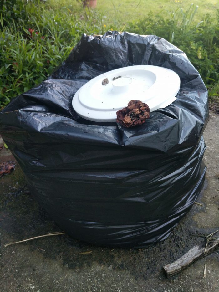 A large black plastic bag, full, with a white bucket lid on top.