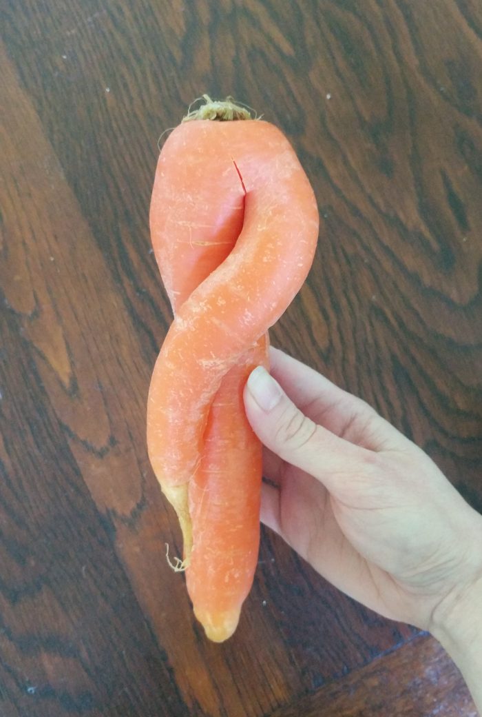 A hand holding a carrot with one root twisted around the other.