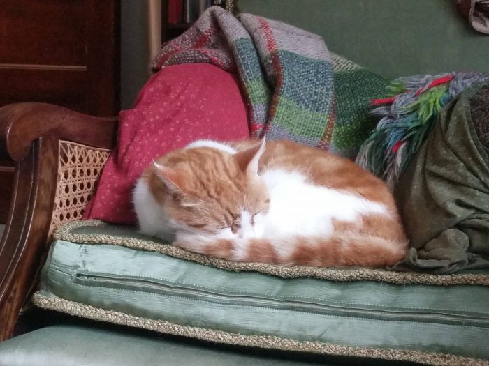 orange and white cat on green armchair with two cushions and a handwoven blanket