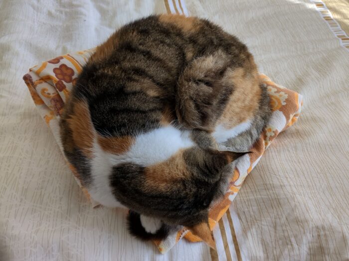 A tortoiseshell and white cat curled up asleep on a pile of folded sheets. The sheets have a bold floral pattern in cream, orange, and brown, and are sitting on a duvet of cream and brown.