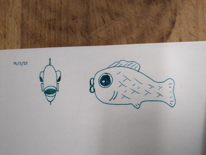 Two cartoonish drawings in blue-green ink of fish. One is seen from the front, the other from the side.