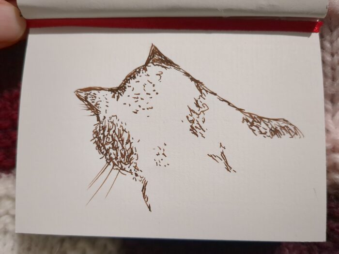 A brown ink sketch of a cat's head and shoulders, seen from behind.