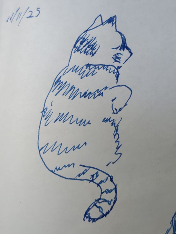 A blue ink sketch of a striped cat.