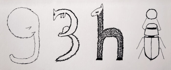 Four black and white ink drawings, showing, from left to right: a curled up cat in the shape of a lower-case g, a squirrelish creature in the shape of a yogh, a llama in the shape of a lower-case h, and a dung beetle (with ball) in the shape of a lower-case i.
