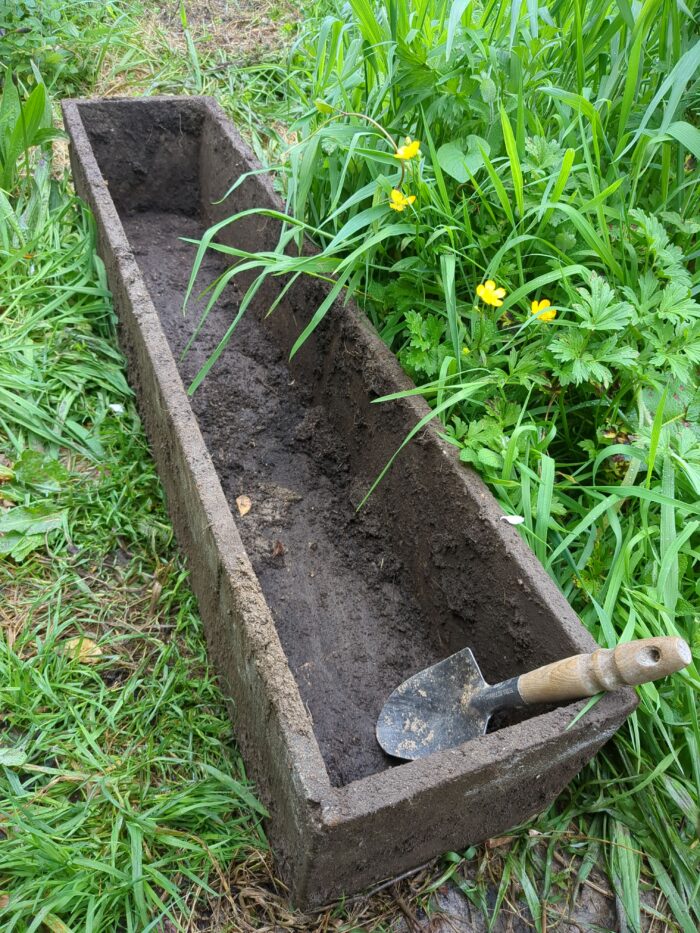 A very muddy concrete trough approximately 25 by 25 by 100cm, lying among green grass and weeds, with a somewhat muddy trowel in it, leaning against one corner.