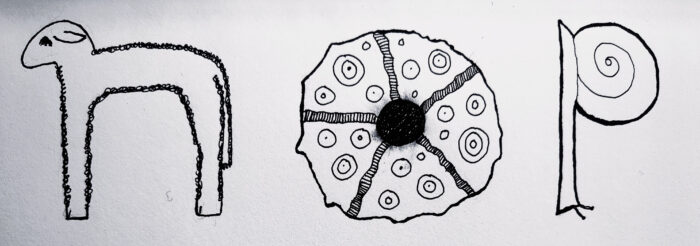 Three black ink drawings. From left to right: a lamb in the shape of a lower case n, a sputnik urchin shell in the shape of the letter o, and a snail heading down the page in the shape of the letter p.