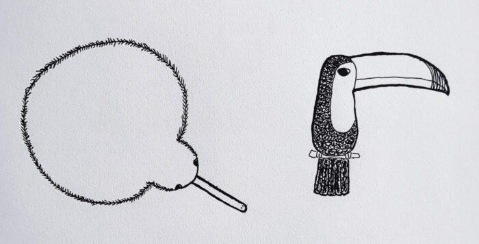 Two drawings in black ink. On the left, a kiwi seen from above, in the shape of an upper-case Q. On the right, a toucan in the shape of a lower-case r.